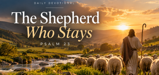 The Shepherd Who Stays